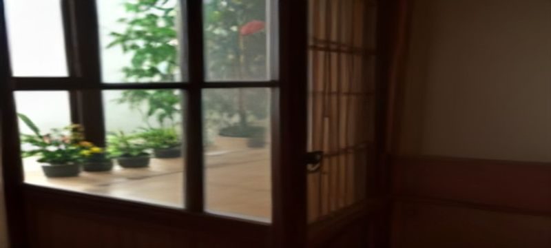 四虎传媒平台主界面展示，深色背景下内容缩略图网格排列，分类导航清晰可见，霓虹绿高亮色调