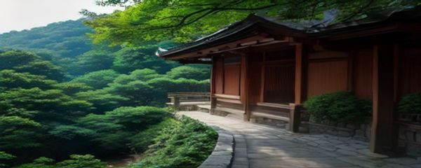 手机浏览器地址栏输入四虎传媒域名界面，地址栏高亮显示，安全图标可见